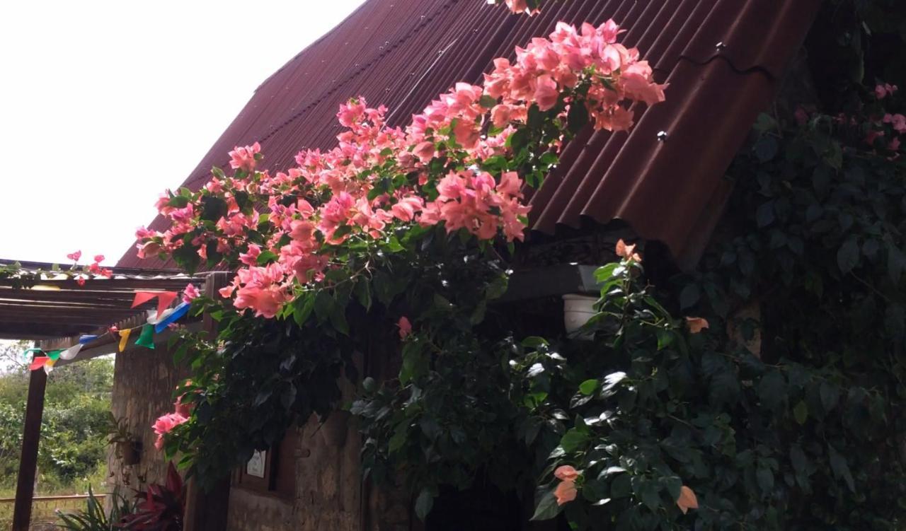 Pousada Refugio Do Poeta Monte das Gameleiras Exterior foto